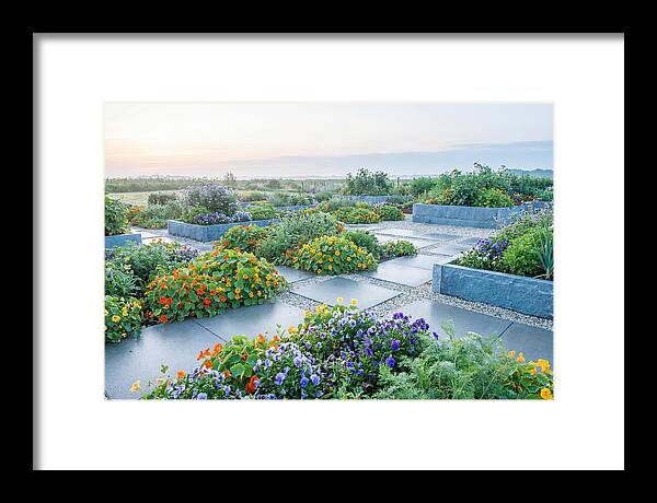 Edible Flower Garden Serenity