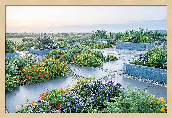 Edible Flower Garden Serenity