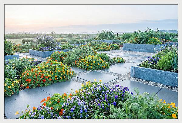 Edible Flower Garden Serenity