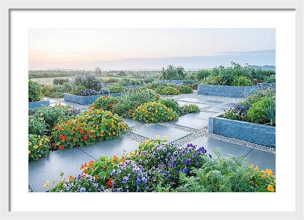 Edible Flower Garden Serenity