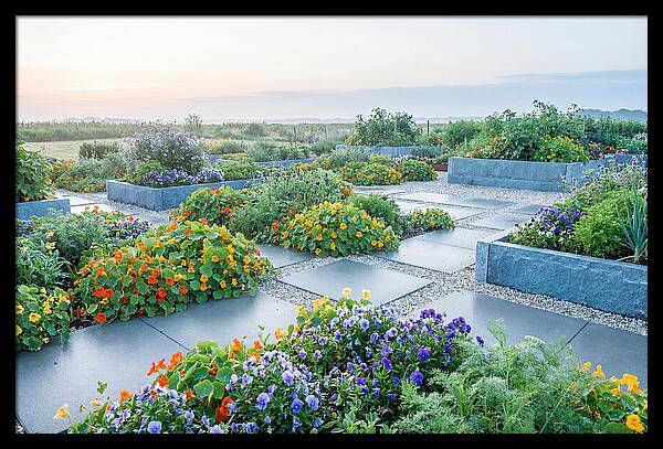 Edible Flower Garden Serenity