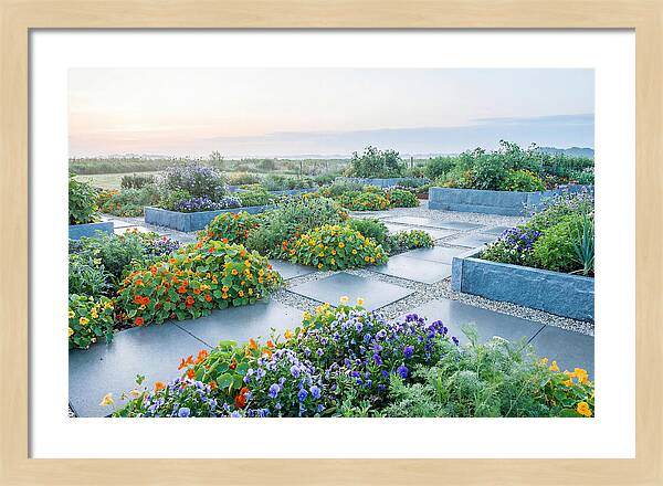 Edible Flower Garden Serenity