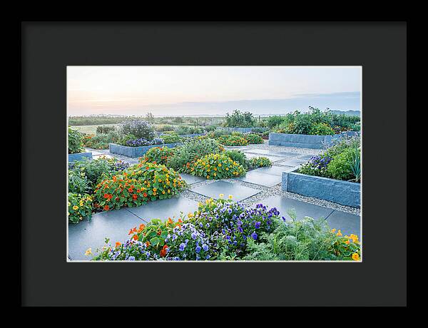 Edible Flower Garden Serenity