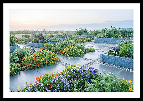 Edible Flower Garden Serenity