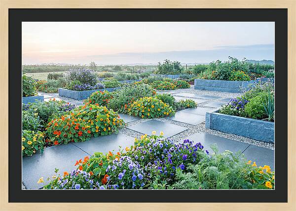 Edible Flower Garden Serenity