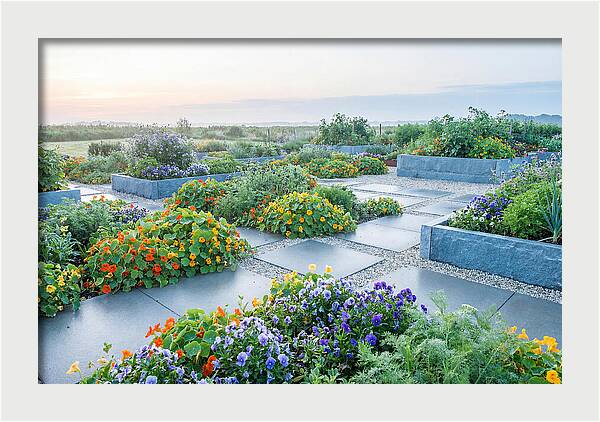 Edible Flower Garden Serenity