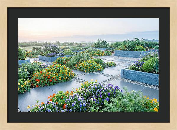 Edible Flower Garden Serenity