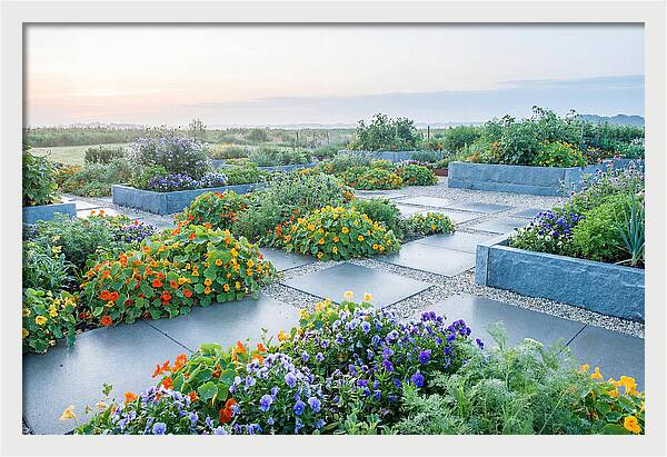 Edible Flower Garden Serenity