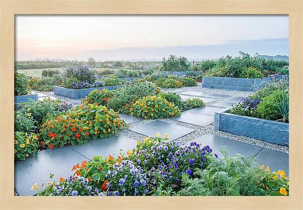 Edible Flower Garden Serenity