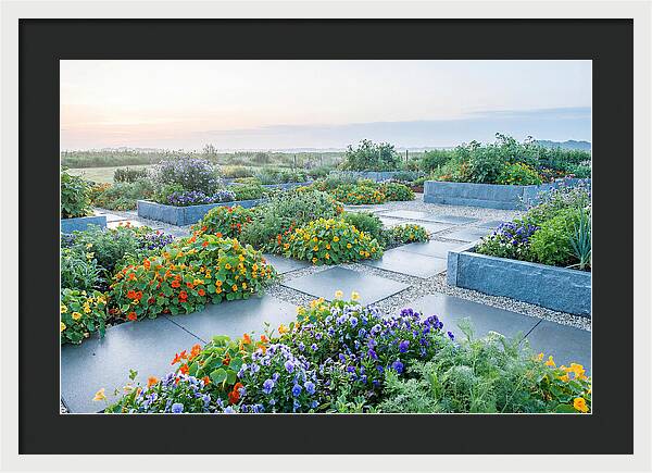 Edible Flower Garden Serenity