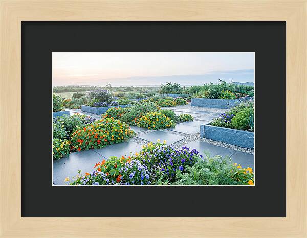 Edible Flower Garden Serenity