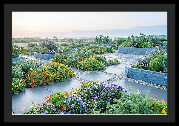 Edible Flower Garden Serenity