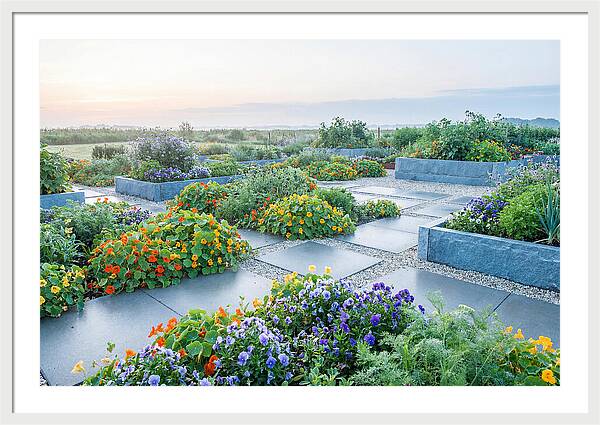 Edible Flower Garden Serenity