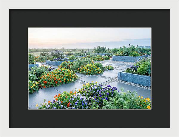 Edible Flower Garden Serenity