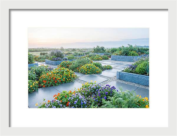 Edible Flower Garden Serenity
