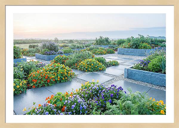 Edible Flower Garden Serenity