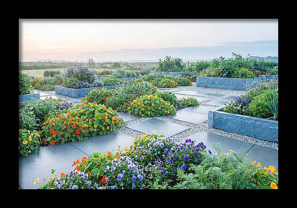 Edible Flower Garden Serenity