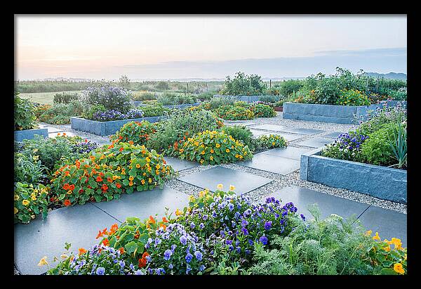 Edible Flower Garden Serenity