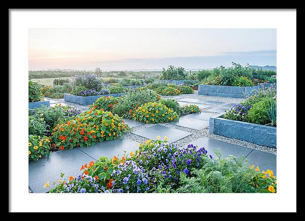 Edible Flower Garden Serenity