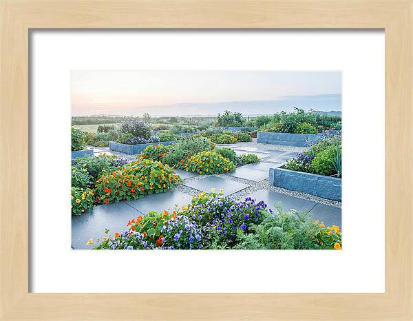 Edible Flower Garden Serenity