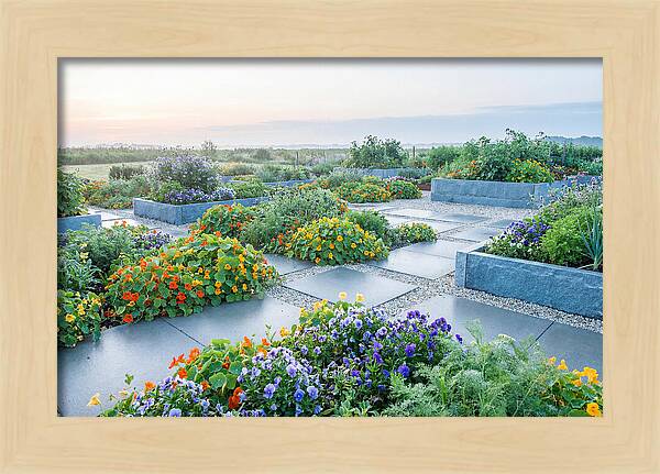 Edible Flower Garden Serenity