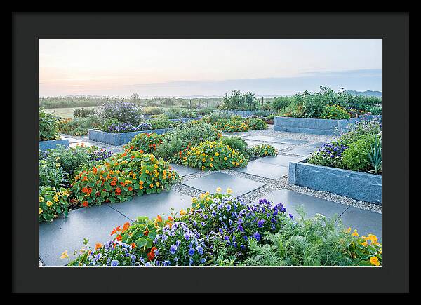 Edible Flower Garden Serenity
