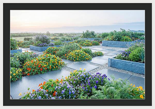 Edible Flower Garden Serenity