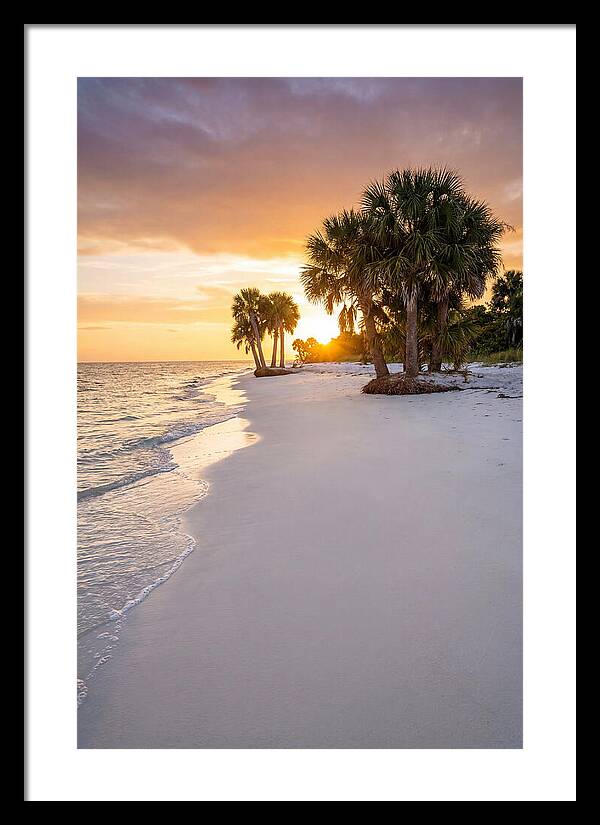 Edisto Beach Serenity