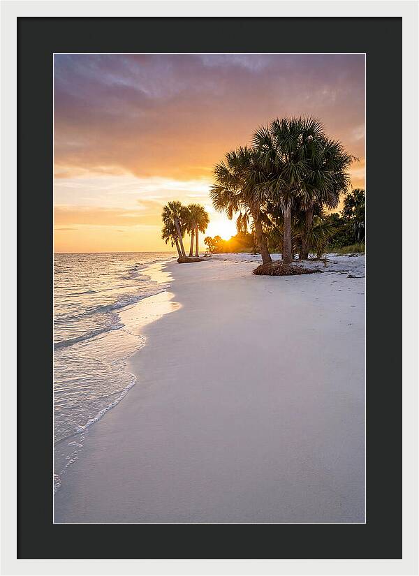 Edisto Beach Serenity