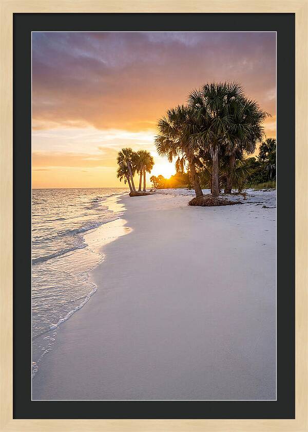 Edisto Beach Serenity