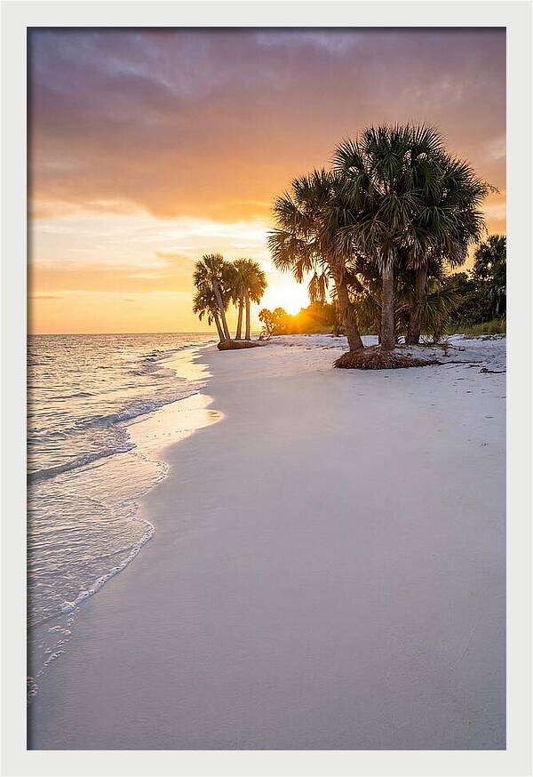 Edisto Beach Serenity