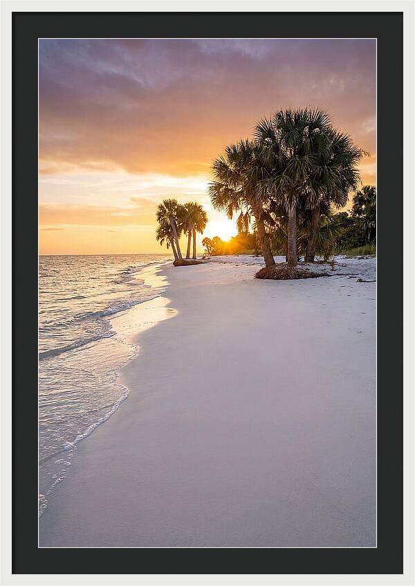 Edisto Beach Serenity