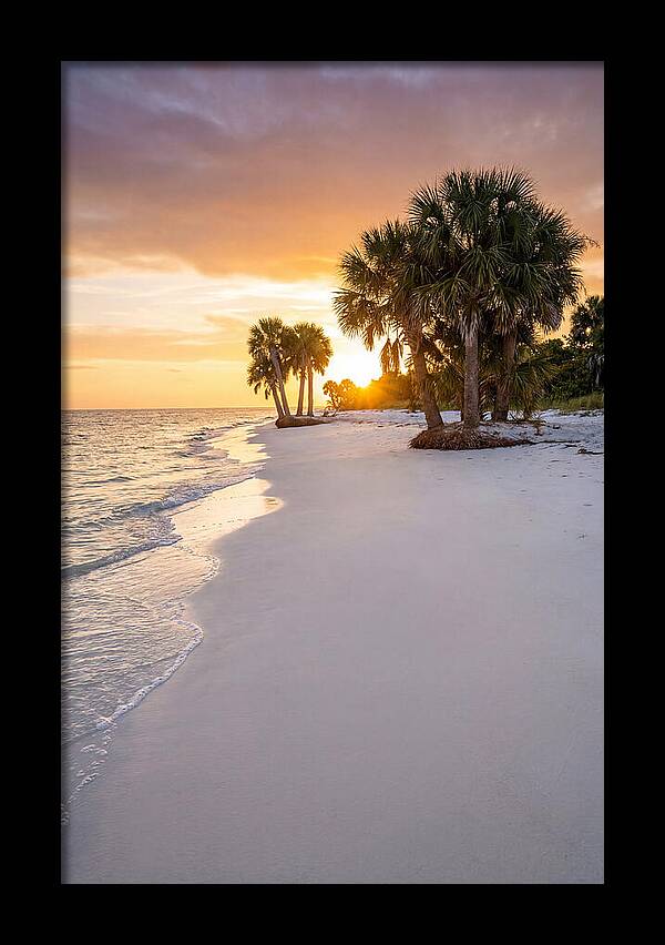 Edisto Beach Serenity