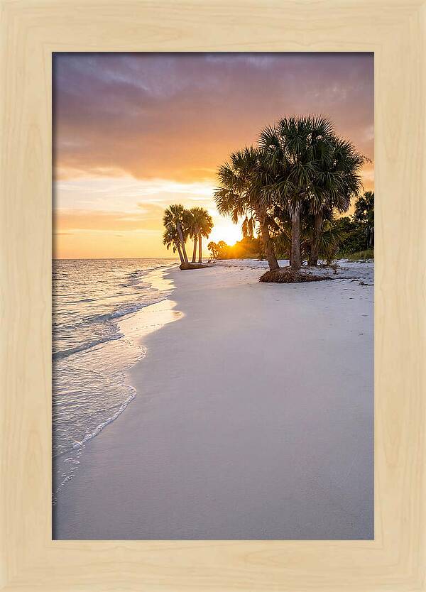 Edisto Beach Serenity
