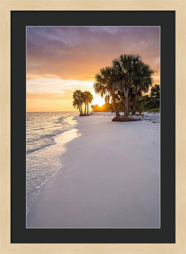Edisto Beach Serenity