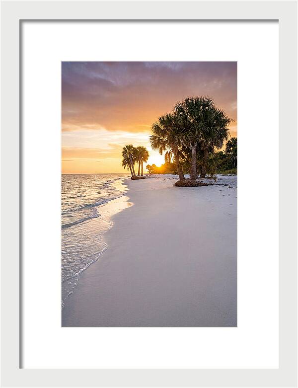 Edisto Beach Serenity