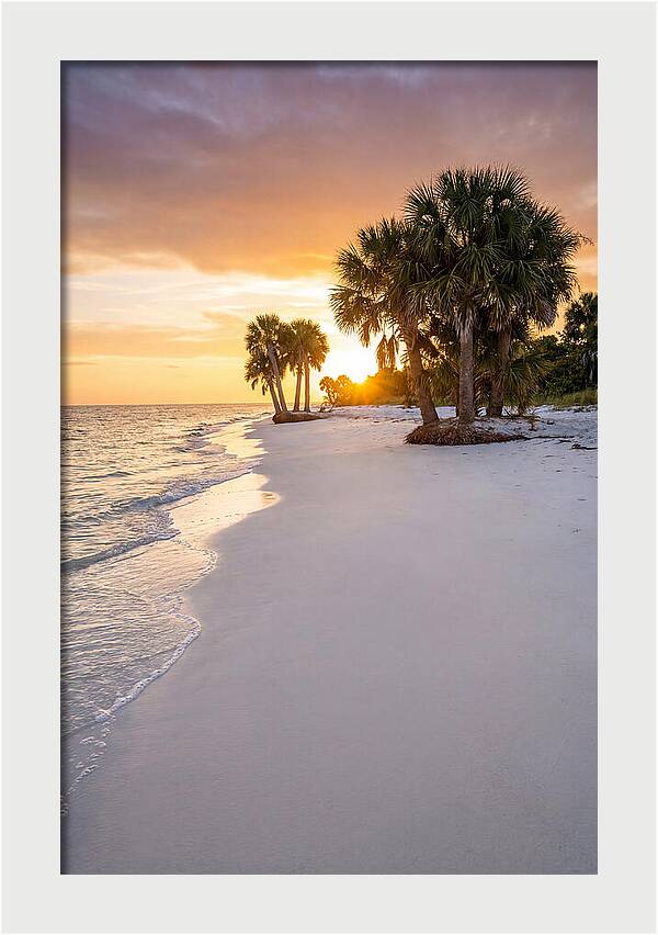 Edisto Beach Serenity
