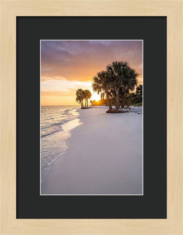 Edisto Beach Serenity