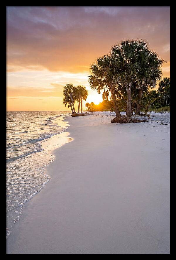 Edisto Beach Serenity