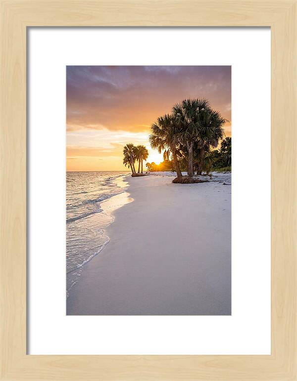 Edisto Beach Serenity