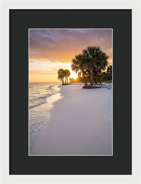 Edisto Beach Serenity