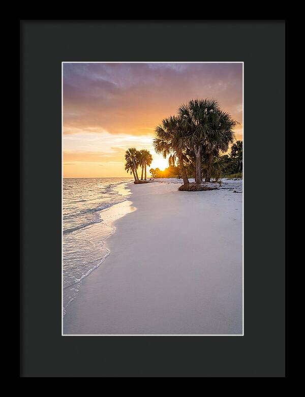 Edisto Beach Serenity