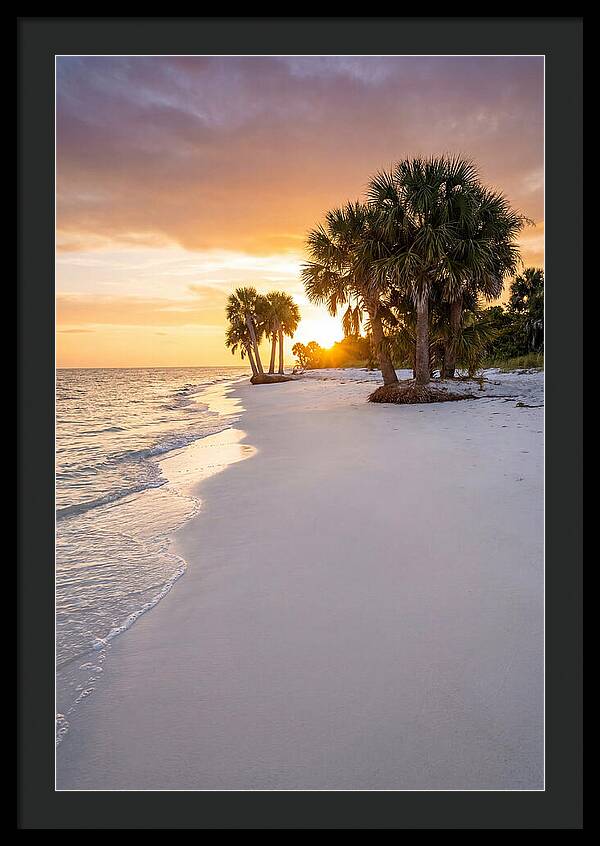 Edisto Beach Serenity