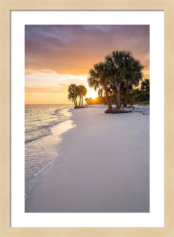 Edisto Beach Serenity