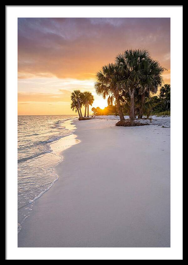 Edisto Beach Serenity