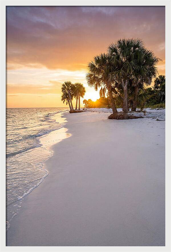 Edisto Beach Serenity
