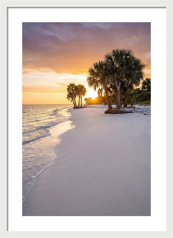 Edisto Beach Serenity