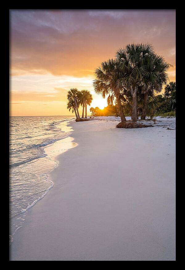 Edisto Beach Serenity