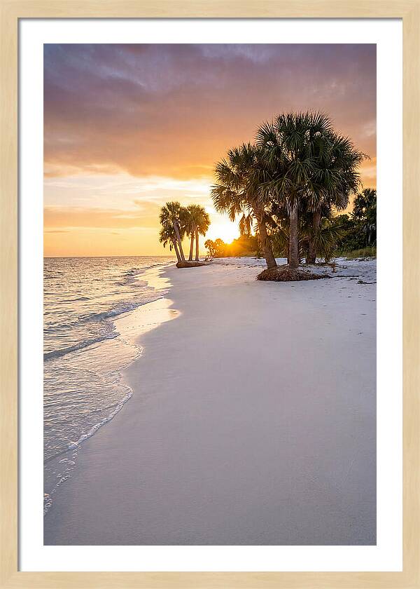 Edisto Beach Serenity