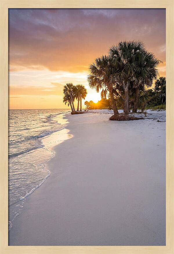 Edisto Beach Serenity